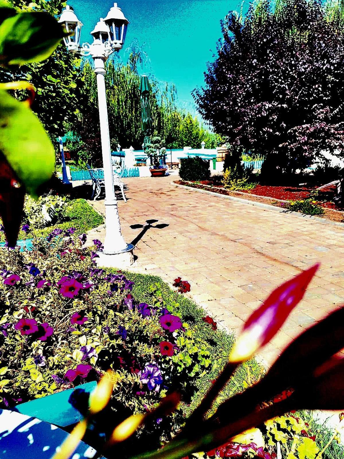 Hotel Pensiunea Prigoria Murighiol Zewnętrze zdjęcie